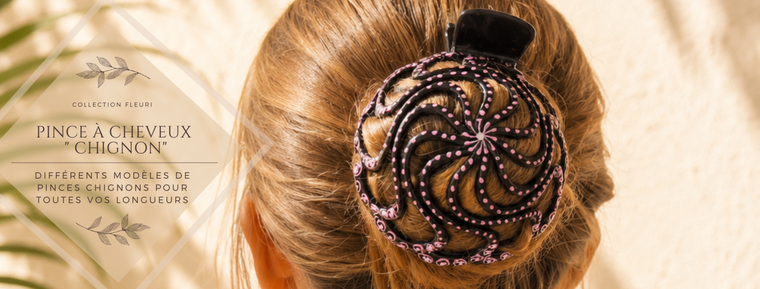 Image décorative Pince à cheveux chignon